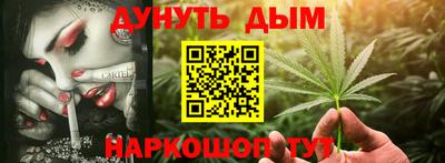 сатива Обь