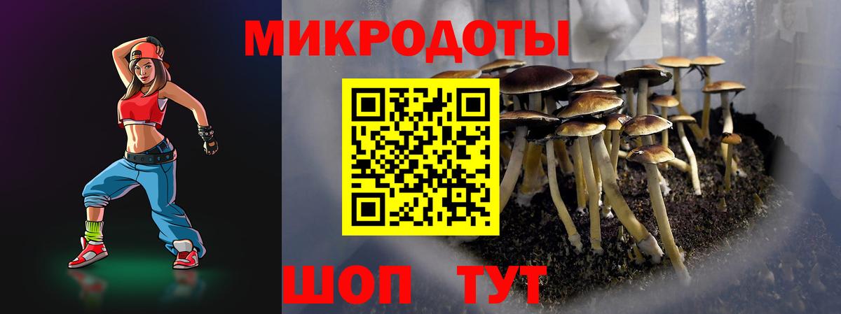 Россошь  Галлюциногенные грибы Psilocybe  Псилоцибиновые грибы GOLDEN TEACHER  Вход с VPN 